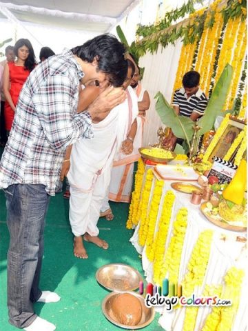 Raviteja New Movie Mirapakaya wallpapers